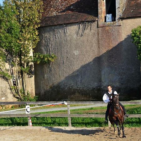 Château des Noces Bazoges-en-Pareds Exterior foto