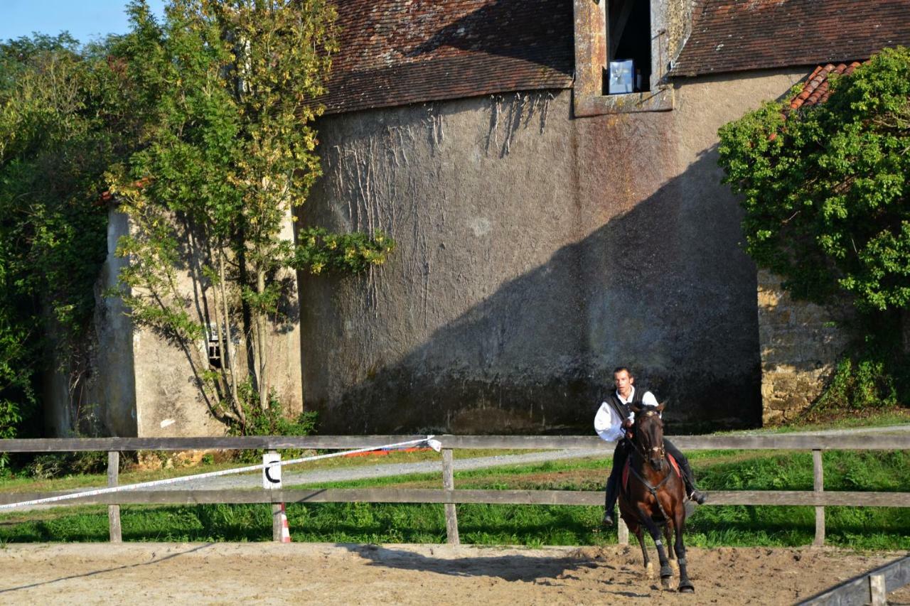 Château des Noces Bazoges-en-Pareds Exterior foto